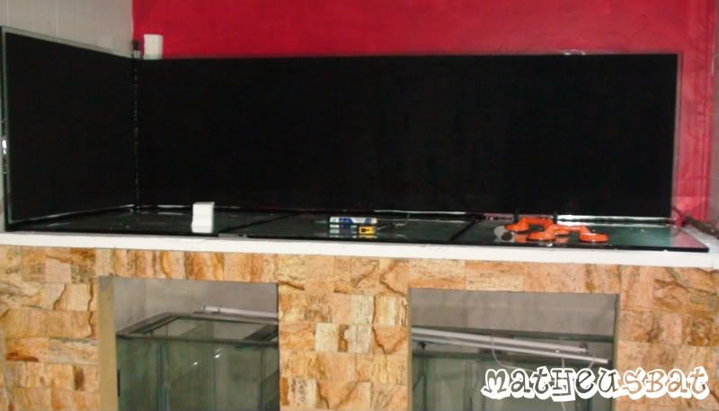 M9_aquario_019.jpg