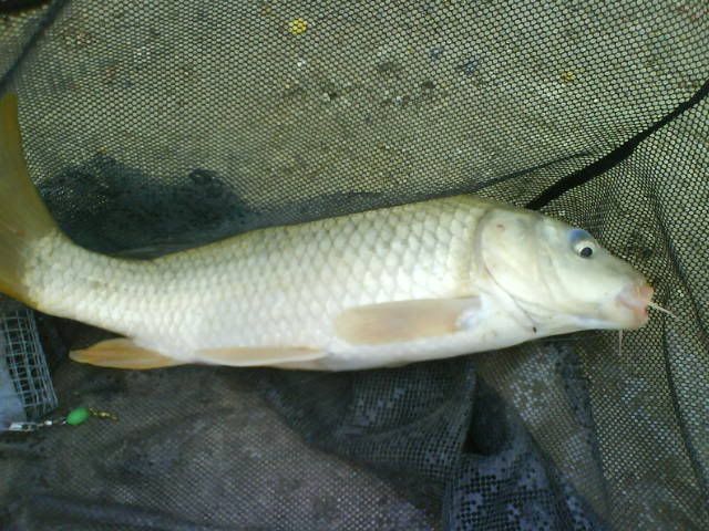 DSC00216.jpg