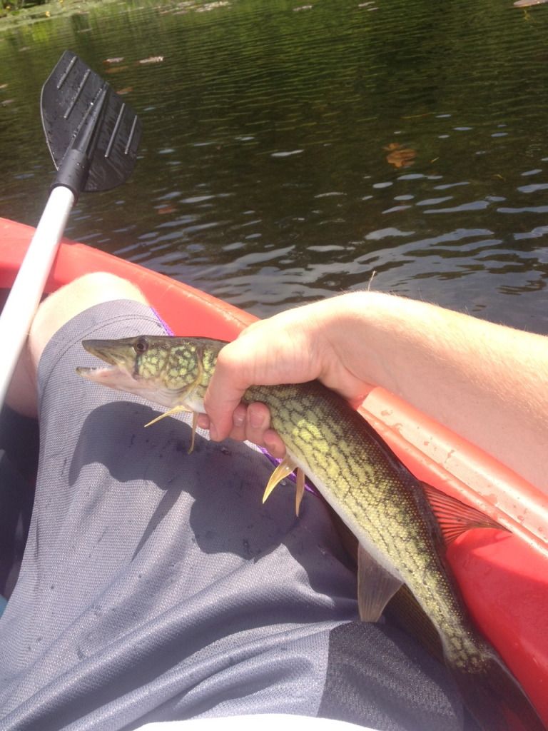 IMG_0159.jpg