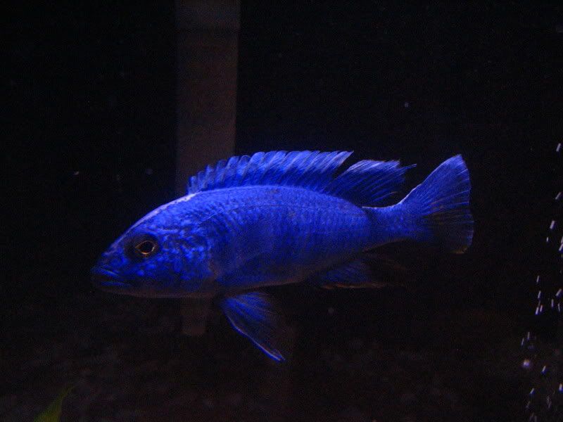 IMG_2783.jpg