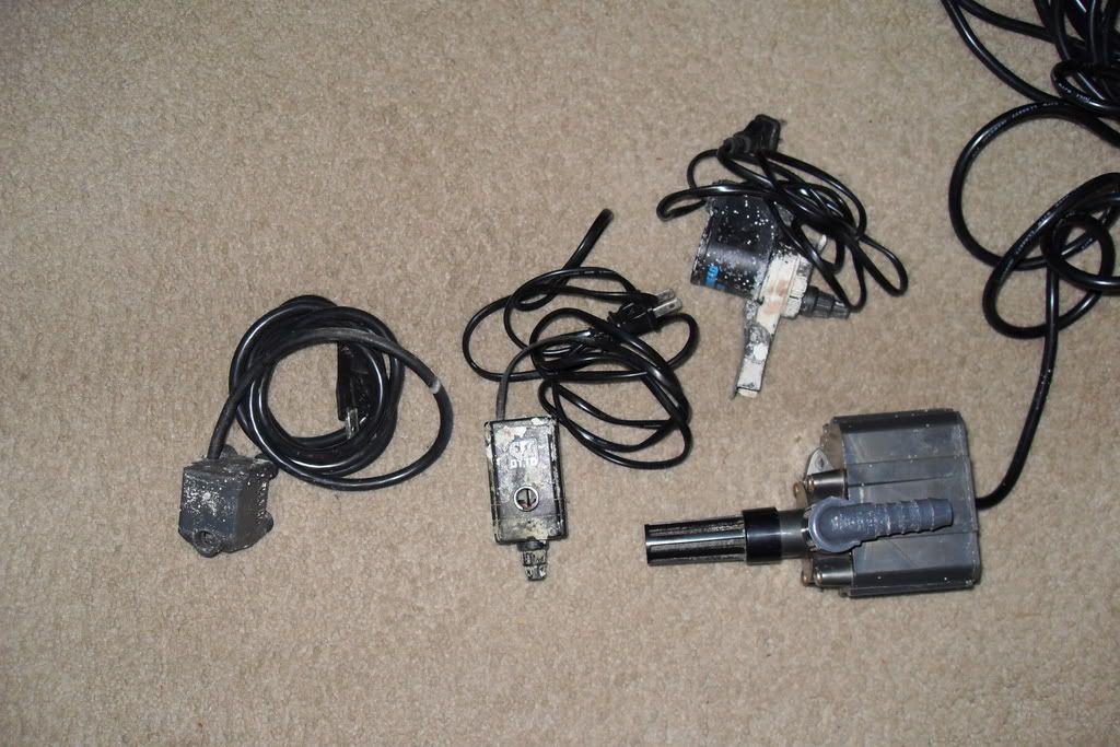 SDC10075.jpg