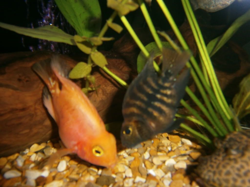 PC290036.jpg