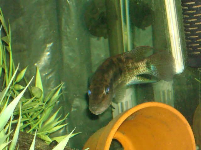 DSC01782.jpg