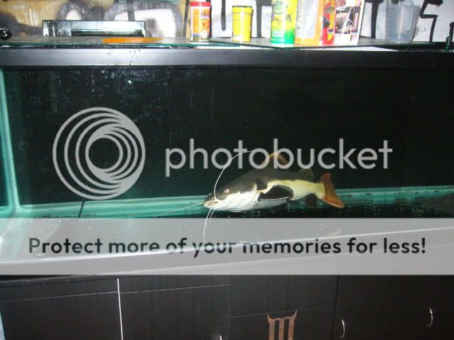 P1170035.jpg