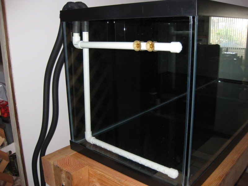 3-17-09028.jpg