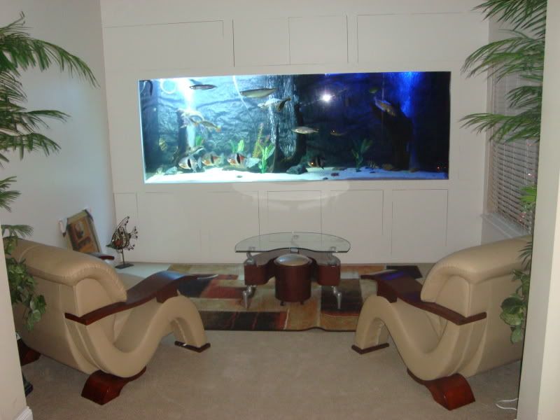 007-7.jpg
