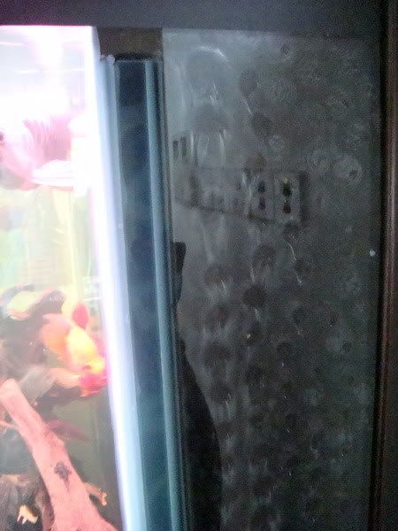 DSC05279_resize.jpg