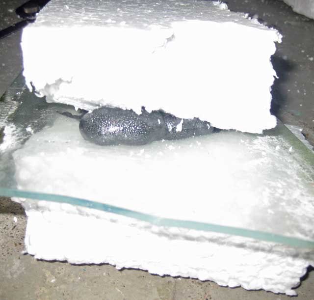 glass-glued1.jpg