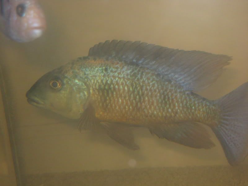 IMG_4316.jpg