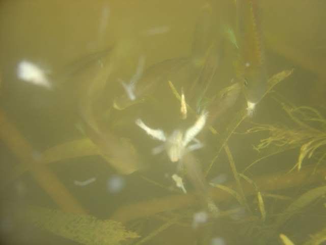 DSC05877.jpg