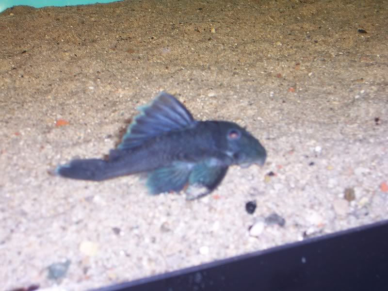 100_4755.jpg