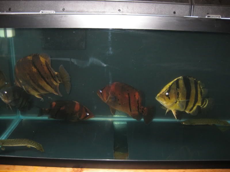 4-19-09023.jpg