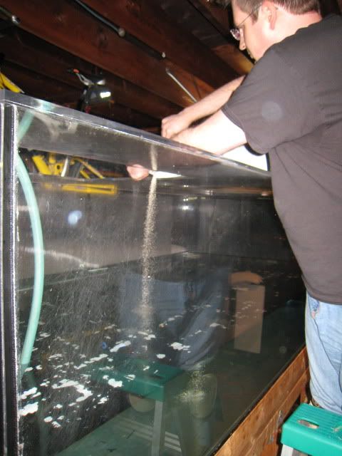IMG_6783.jpg