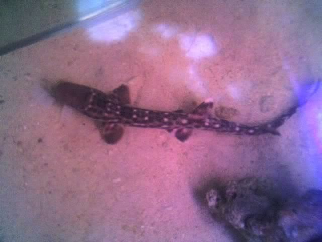 27-03-06_1511.jpg