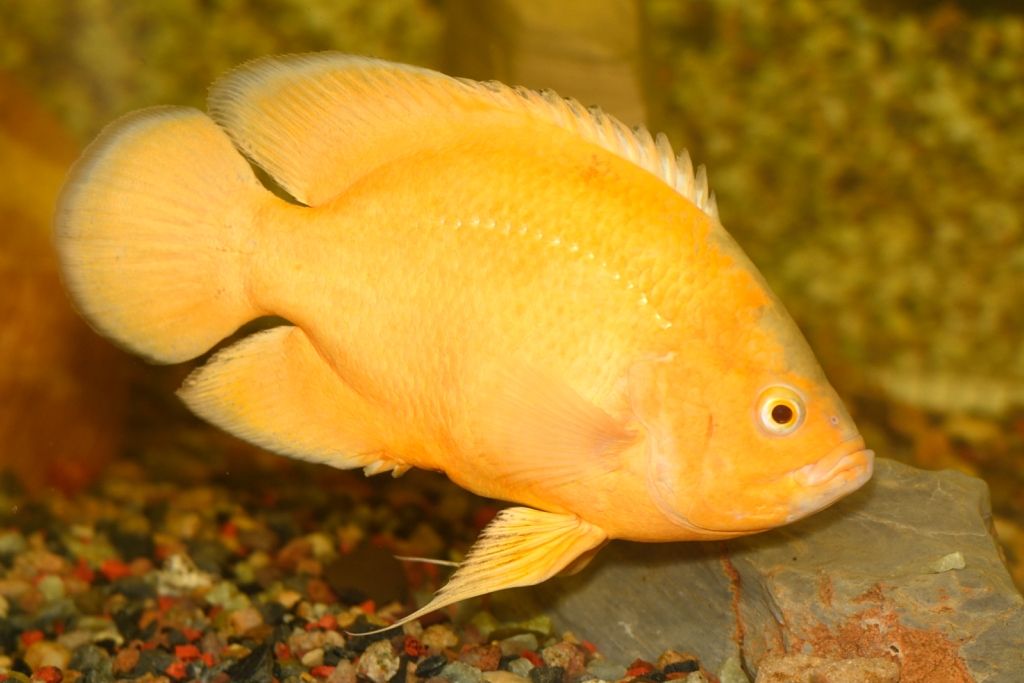 DSC_4701.jpg