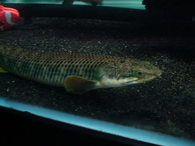 DSC07117.jpg