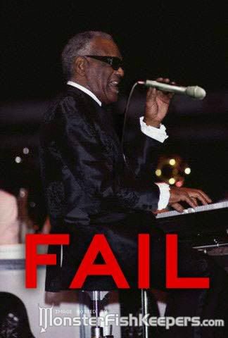 fail2eo3.jpg