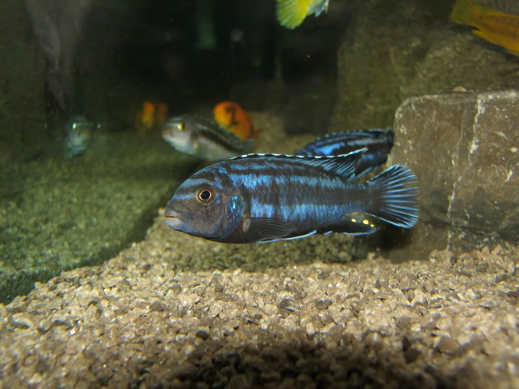 IMG_7764.jpg