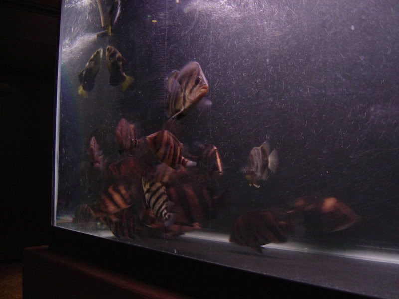 7-18-08025.jpg
