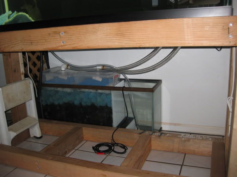 4-7-09010.jpg