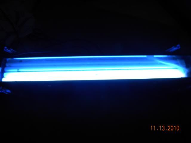 DSCN2391.jpg
