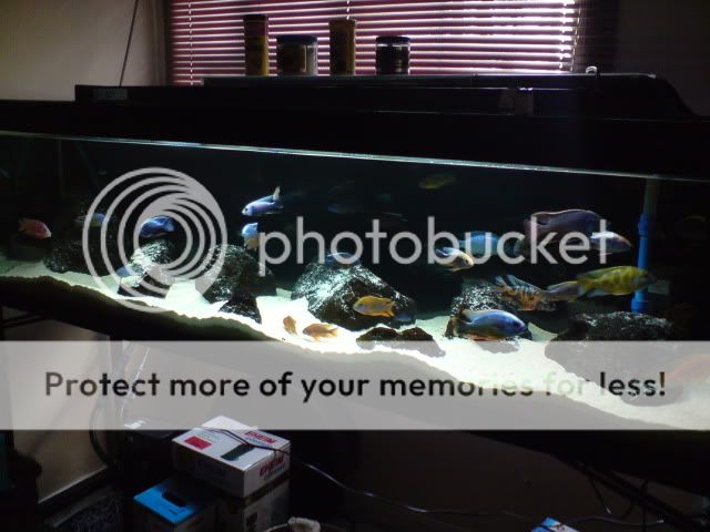 DSC03096.jpg