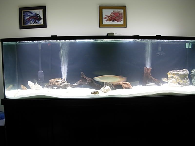 DSCN1274.jpg