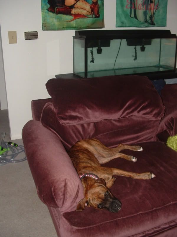 DSCF0418.jpg