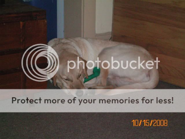 100_0327.jpg