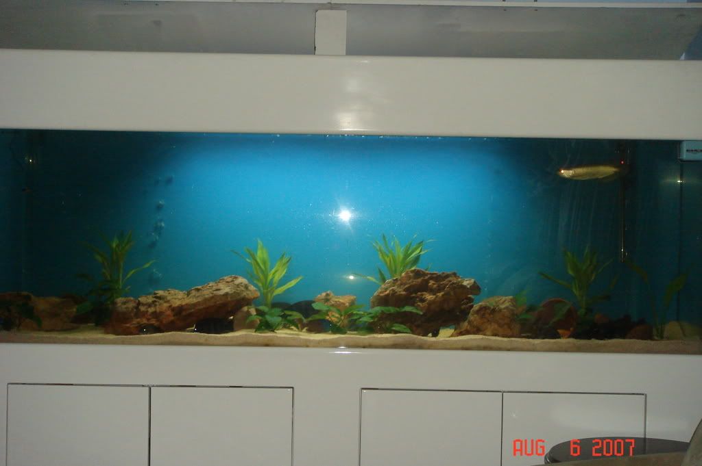 DSC02774.jpg