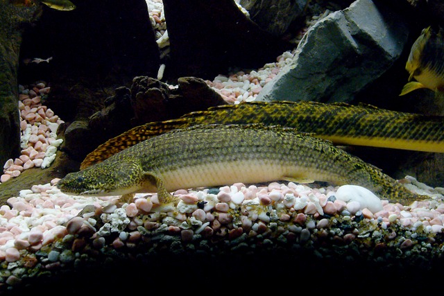 P1020926.JPG