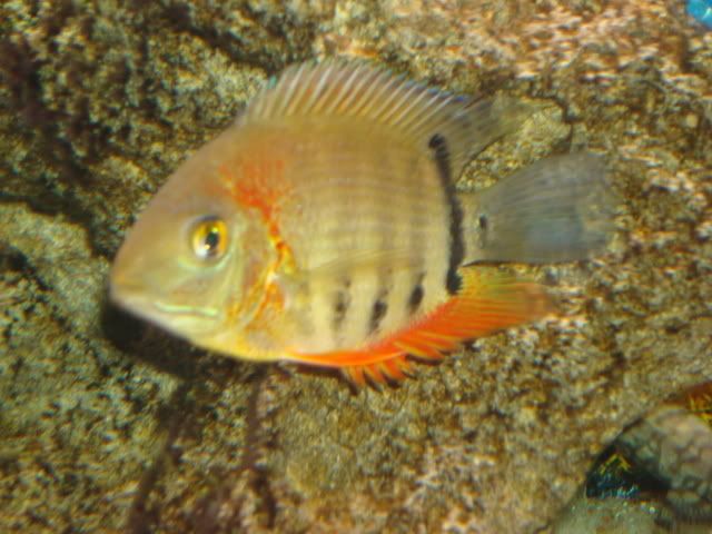 DSC02139.jpg