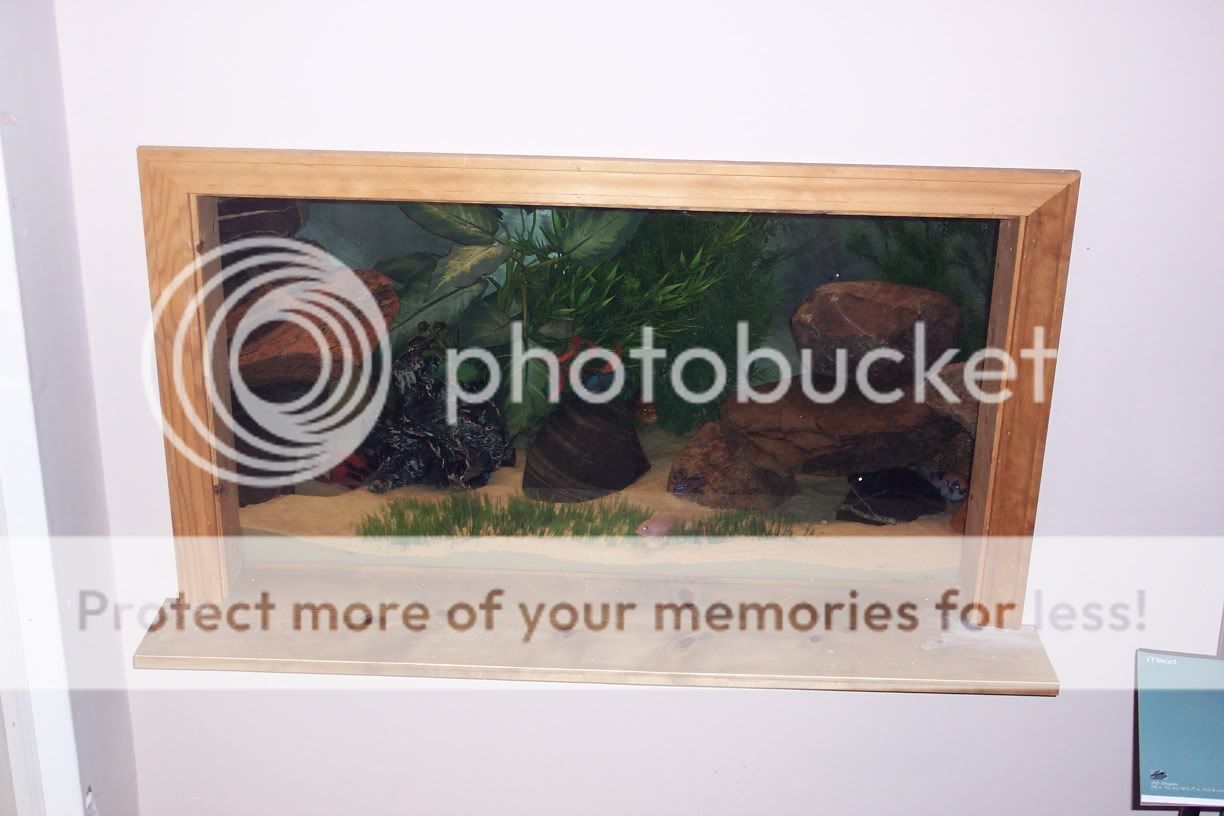 I want to see pics of you plywood aquariums!