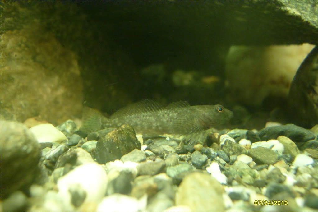 S7306078.jpg
