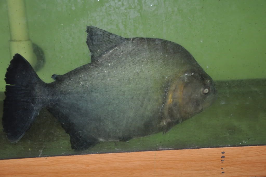 DSC_3714.jpg