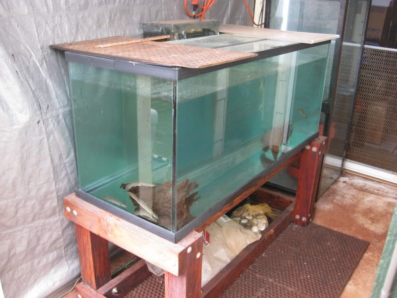 11-7-09045.jpg