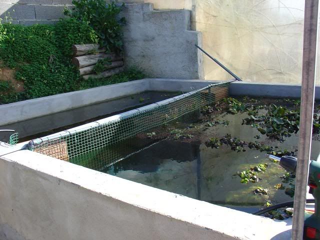 DSC00331.jpg