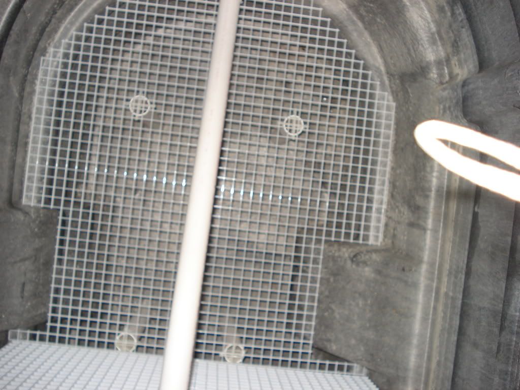 DSC02029.jpg