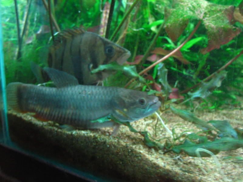 IMG_6954.jpg