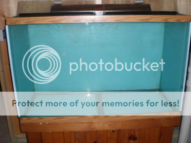 110 Gallon Aquarium Setup - Proxy.php?image=http:%2F%2Fi869.photobucket.com%2Falbums%2Fab256%2FDiscus Plus%2FPB192139