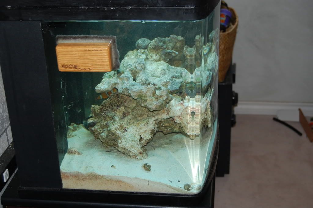NanoCube12.jpg