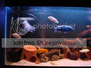 DSC01760.jpg