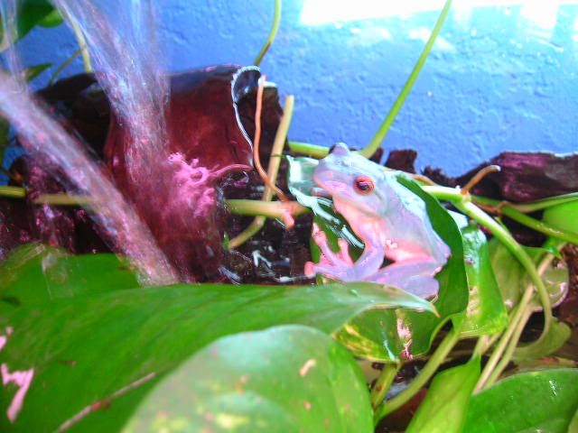 DSCN8579.jpg