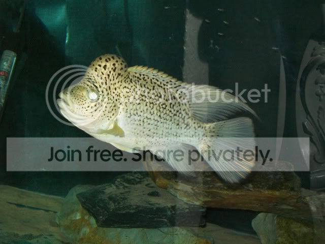 100_4686.jpg