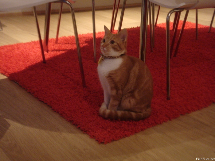 s6d7slvb_DSC08812.JPG