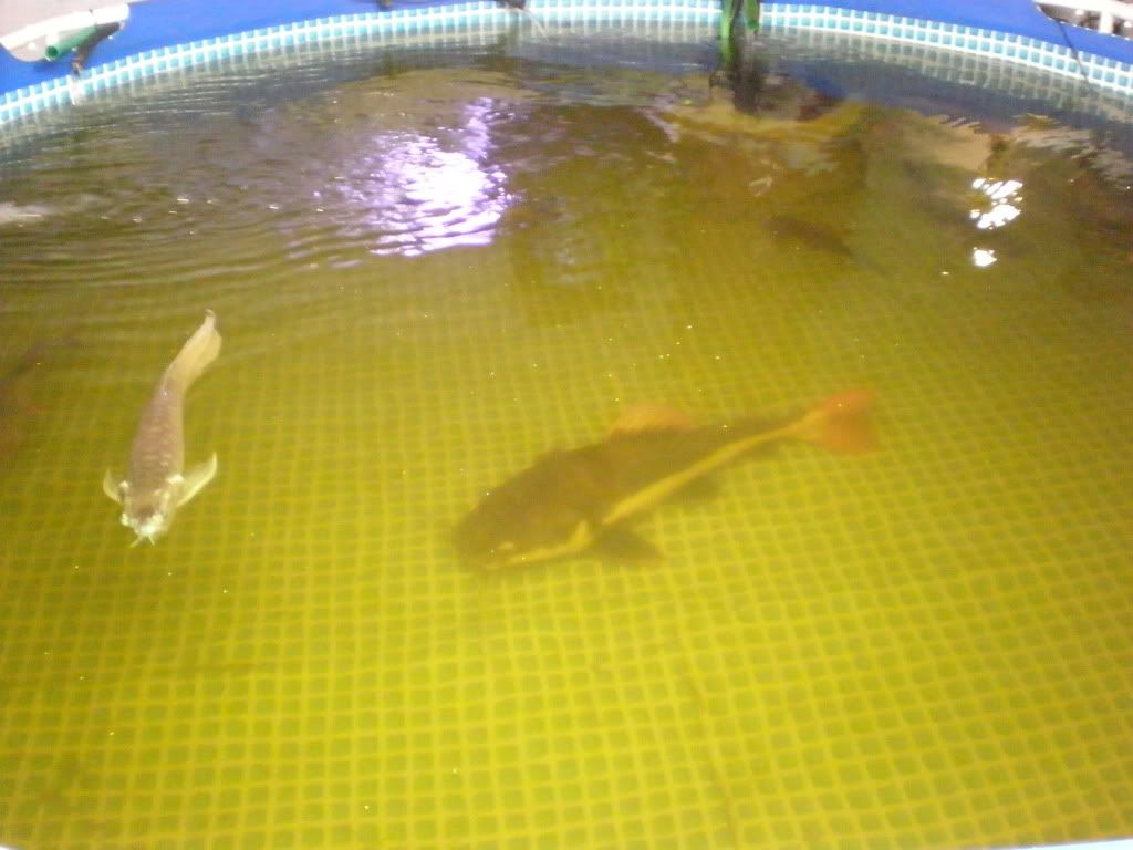 P8120043.jpg