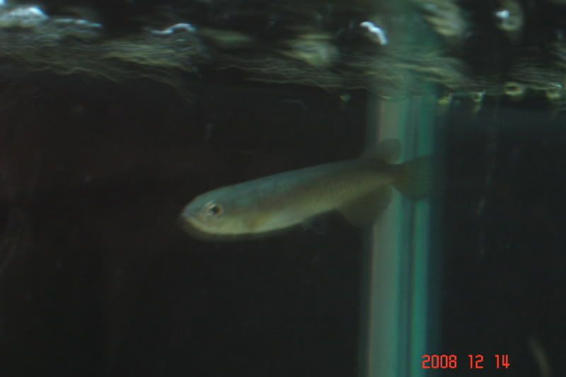 001-7.jpg