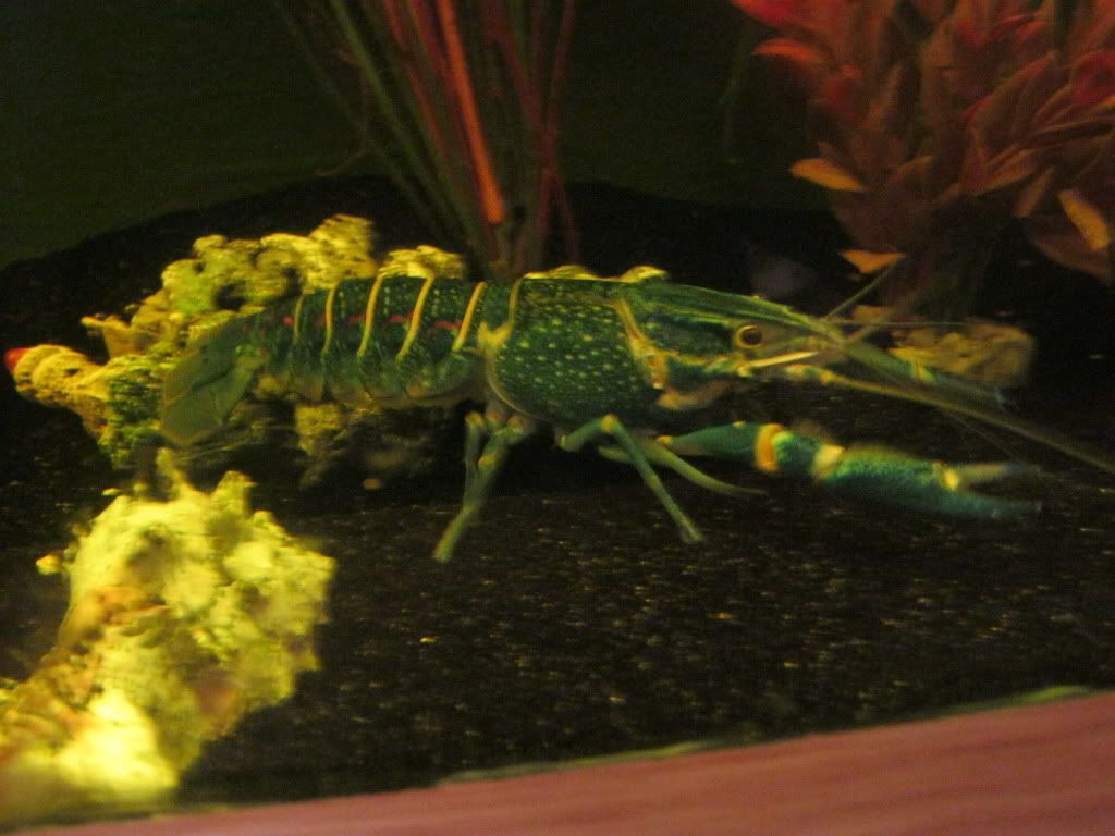IMG_0158.jpg