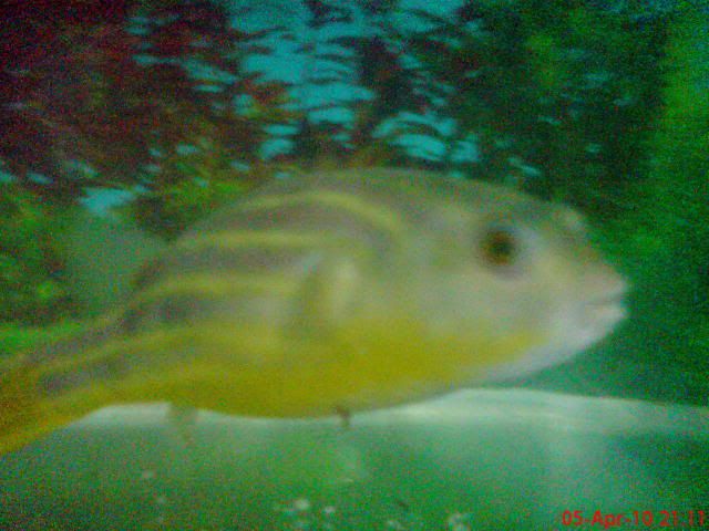 DSC00439.jpg