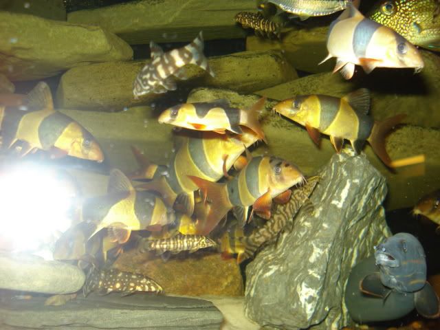 001-1.jpg